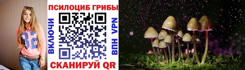 Купить закладки  Снежногорск  Галлюциногенные грибы GOLDEN TEACHER 